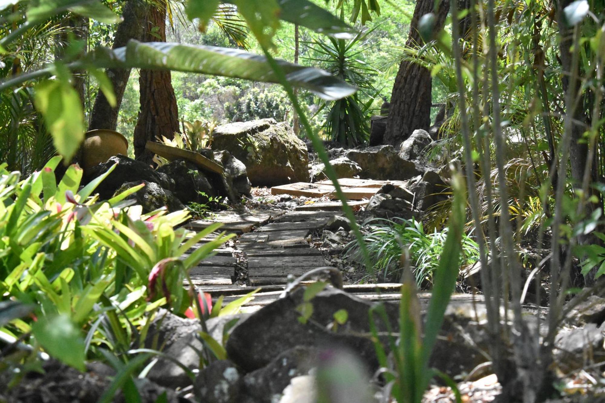 Maleny Hinterland Escape Apartment Witta Luaran gambar