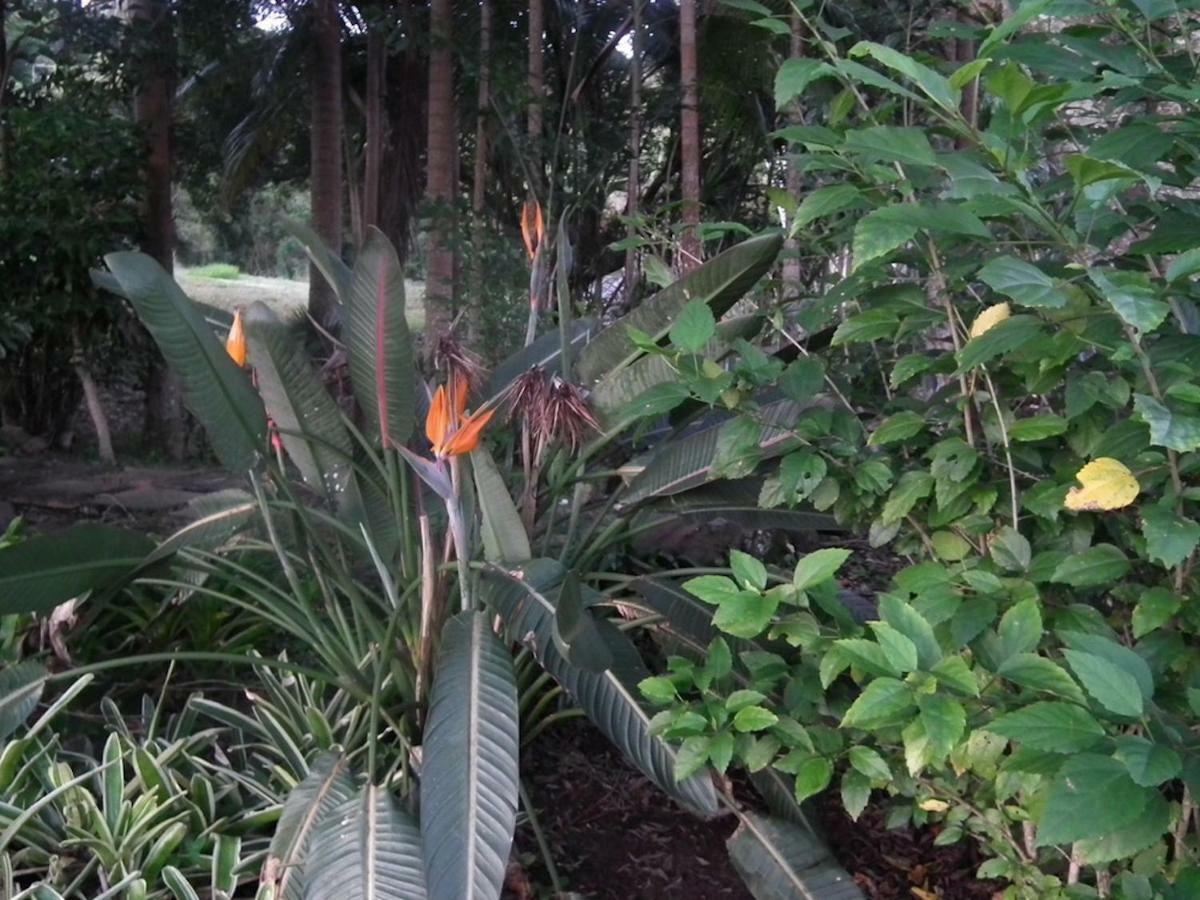 Maleny Hinterland Escape Apartment Witta Luaran gambar